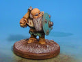 Pro-Painted Miniature - Citadel Miniatures Dwarf With Hammer & Shield
