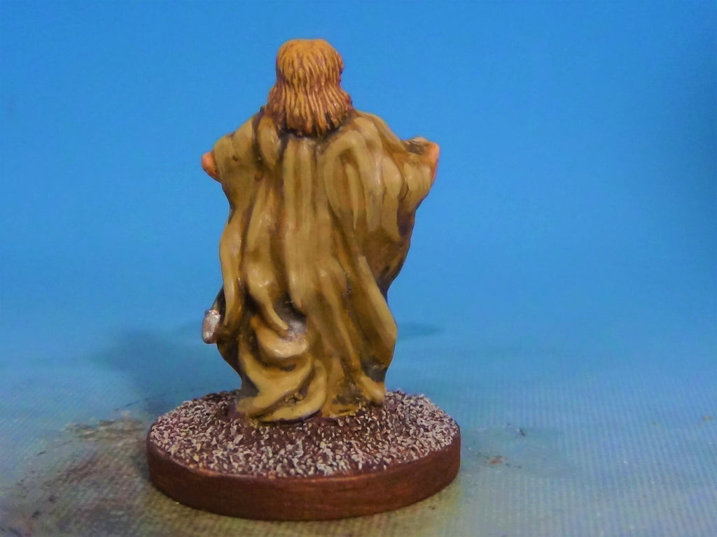 Pro-Painted Miniature - TSR Bard